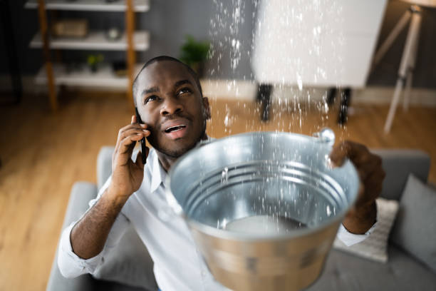Best Water damage restoration near me  in Angola, NY
