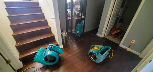 Best Water damage restoration near me  in Angola, NY