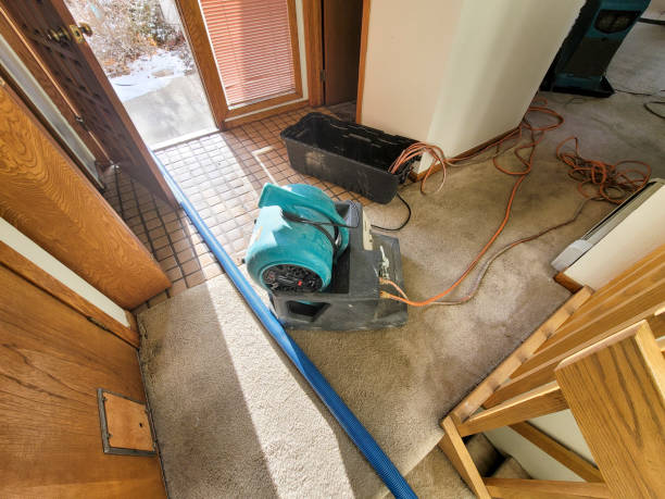 Best Professional water damage repair  in Angola, NY