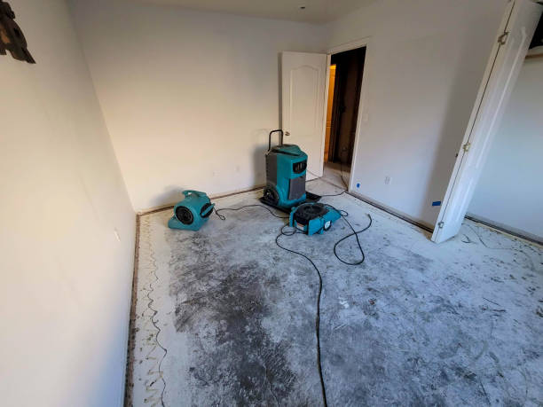 Best Sewage cleanup and water damage restoration  in Angola, NY