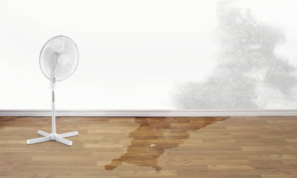 Best Flood damage cleanup  in Angola, NY