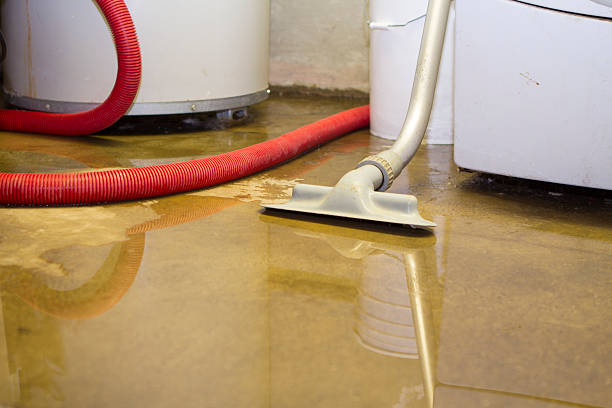 Best Water damage contractors near me  in Angola, NY